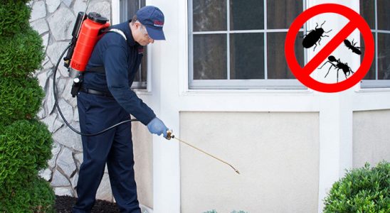 Espiye Böcek ve Haşere İlaçlama böcek ilaçlama ve haşere kontrolü — ilaclama-tr.com
